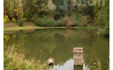 Prodej zahrady 489 m², Žlutice, okres Karlovy Vary