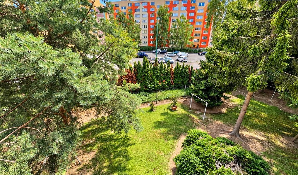 Pronájem bytu 1+1 37 m², Olomouc – náhled fotky 10