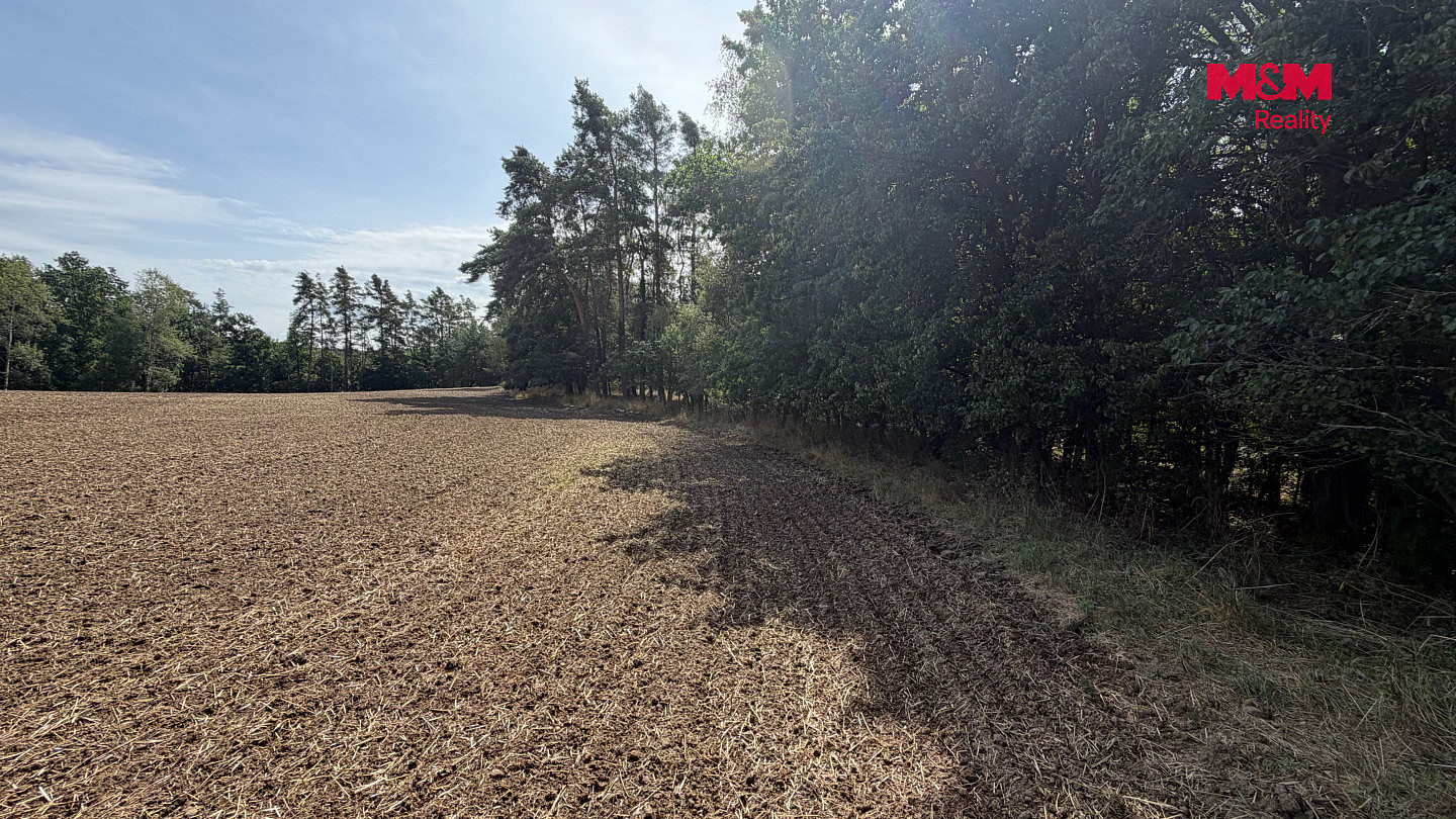 Prodej pole 8 460 m² – fotografie 3