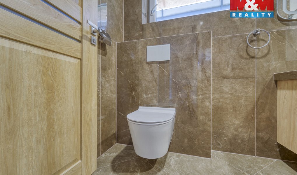 Prodej domu 250 m² s pozemkem 598 m², Děpoltovice – náhled fotky 22