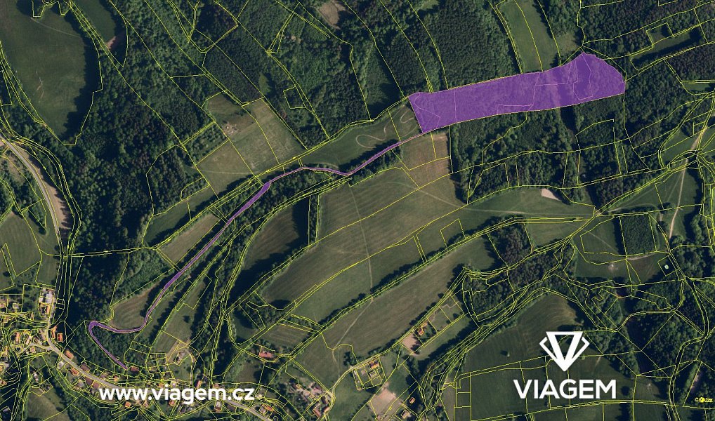 Prodej lesa 11 649 m², Metylovice – náhled fotky 4