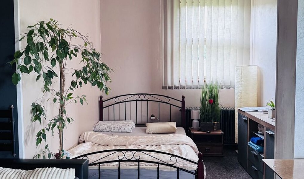 Prodej obchodních prostor 556 m², Hlinsko – náhled fotky 16
