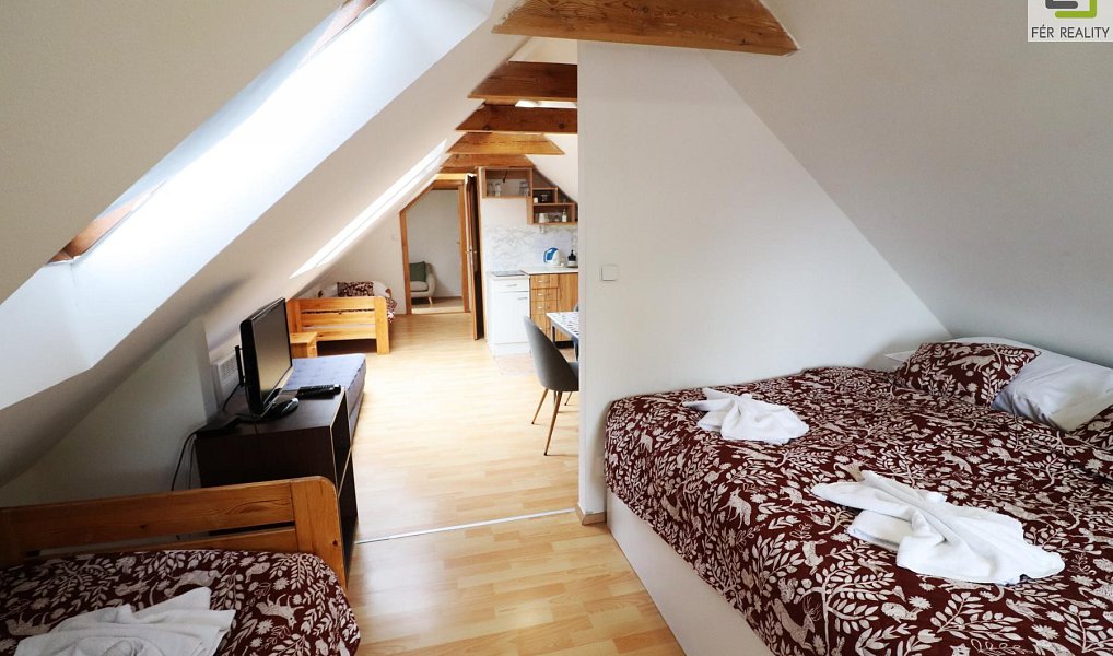 Prodej ubytovacího objektu 607 m², Vědomice – náhled fotky 7