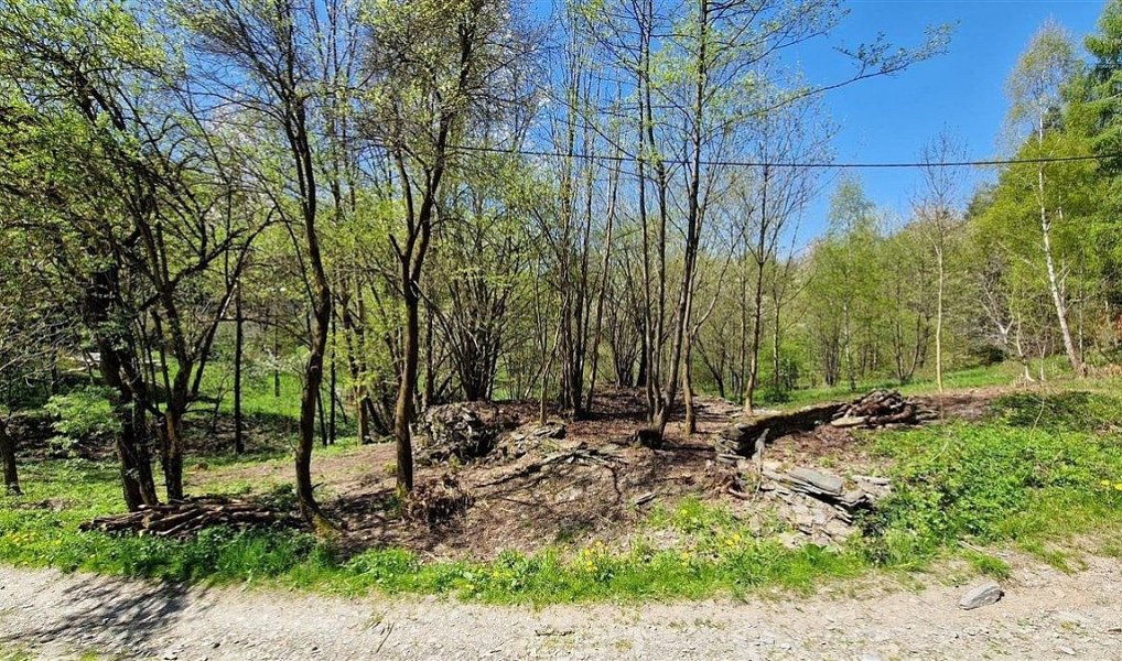 Prodej stavebního pozemku 1 417 m², Radčice – náhled fotky 15