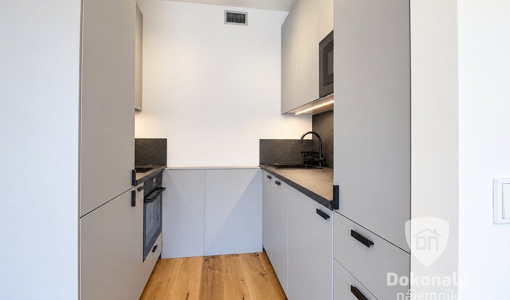 Pronájem bytu 1+kk 36 m², Praha – náhled fotky 2