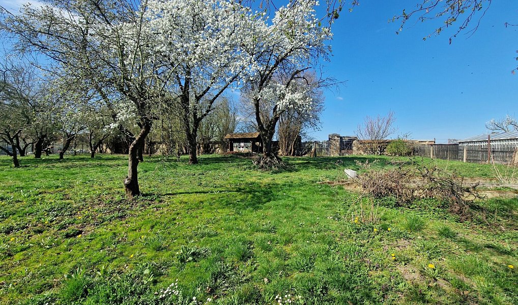 Prodej domu 300 m² s pozemkem 2 907 m², Hostomice – náhled fotky 27