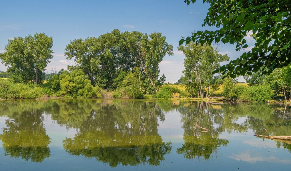 Prodej stavebního pozemku 1 595 m², Říčany – náhled fotky 5