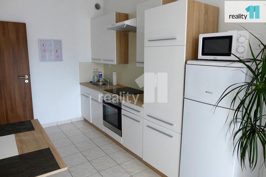 Pronájem bytu 1+1 50 m² — photo 4