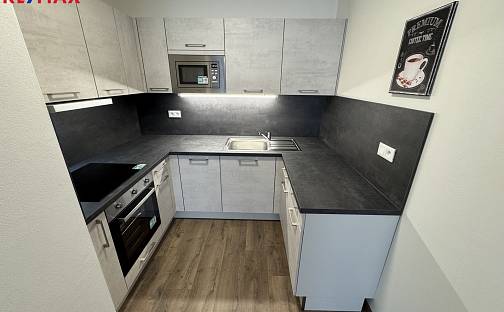 Pronájem bytu 2+kk 57 m², Slovanská, Plzeň - Východní Předměstí