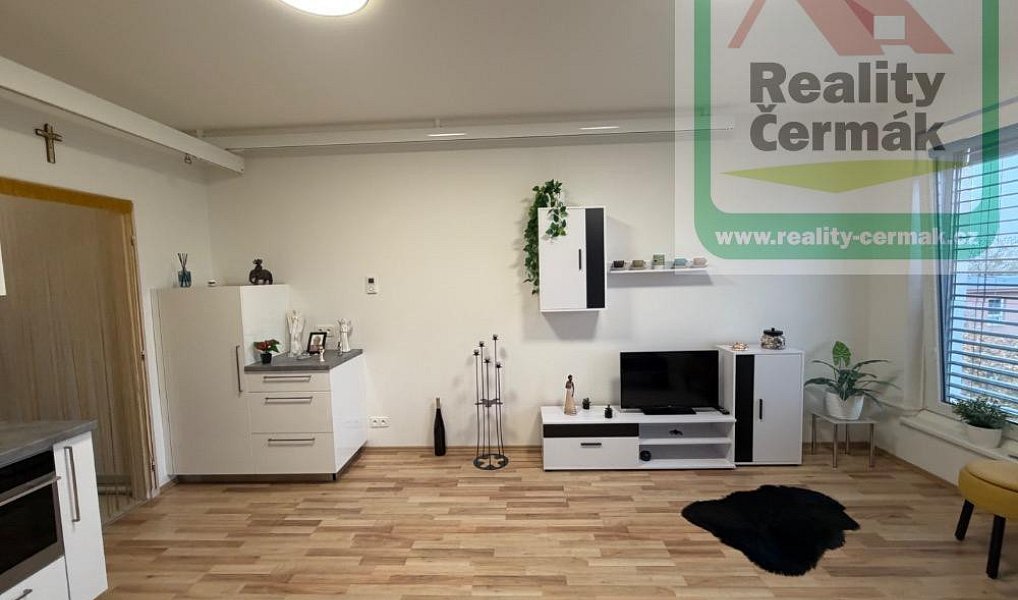 Prodej bytu 1+kk 36 m², Plzeň – náhled fotky 7