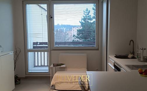 Pronájem bytu 1+kk 26 m², Petra Jilemnického, Teplice