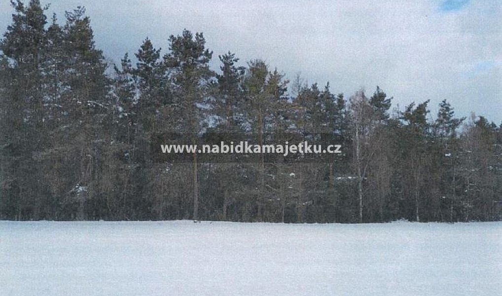Prodej lesa 16 015 m², Hradce – náhled fotky 2