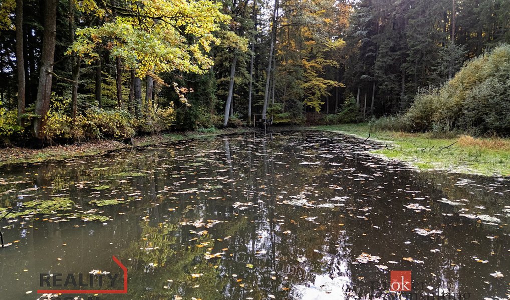 Prodej vodní plochy 64 790 m², Chlum u Třeboně – náhled fotky 11