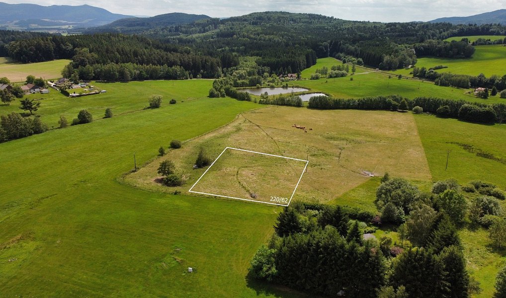 Prodej stavebního pozemku 2 459 m², Česká Kubice – náhled fotky 3