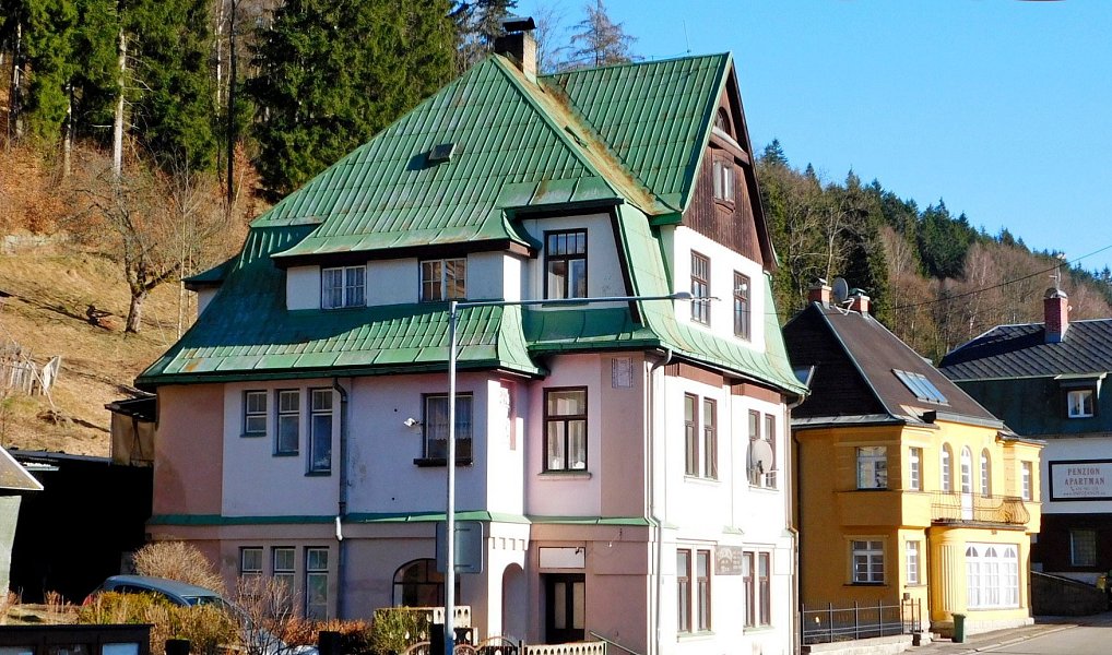 Prodej domu 250 m² s pozemkem 1 221 m², Janov nad Nisou – náhled fotky 2