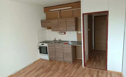 Pronájem bytu 1+1 35 m²