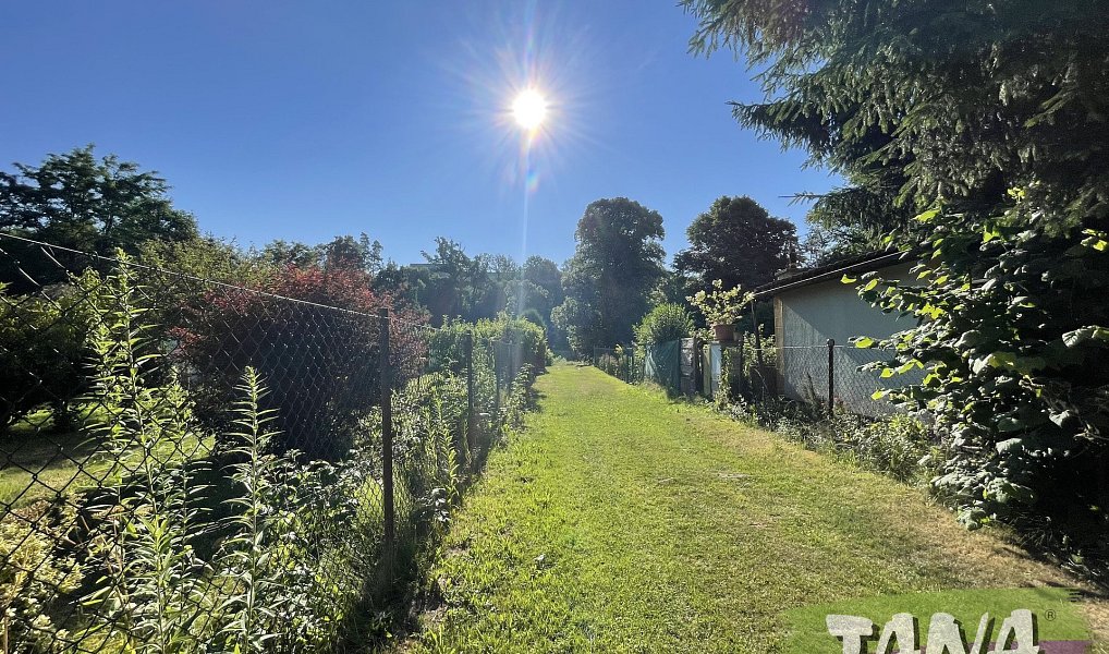 Prodej komerčního objektu (jiného typu) 13 m², Dvůr Králové nad Labem – náhled fotky 8
