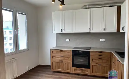 Pronájem bytu 1+1 39 m²