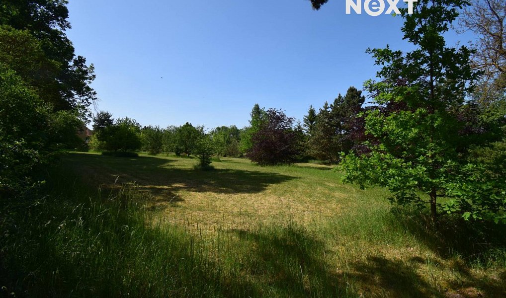 Prodej louky 7 326 m², Šlapanice – náhled fotky 7