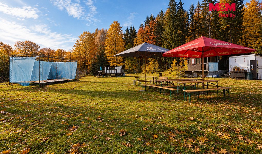 Prodej komerčního pozemku 21 872 m², Krucemburk – náhled fotky 5