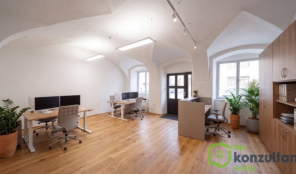 Prodej obchodních prostor 222 m², Velké Meziříčí – náhled fotky 4