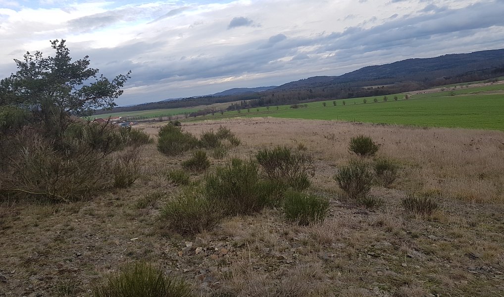 Prodej louky 3 629 m², Stará Huť – náhled fotky 8