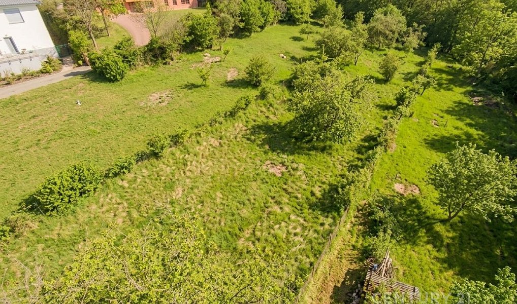 Prodej stavebního pozemku 1 348 m², Bílovice nad Svitavou – náhled fotky 12