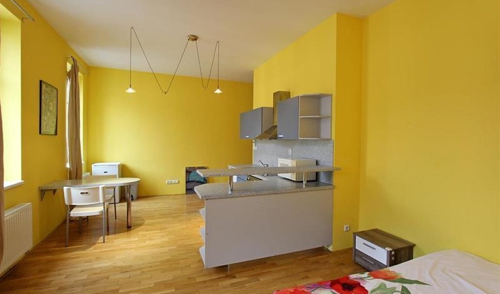 Pronájem bytu 1+kk 35 m², Brno – náhled fotky 2