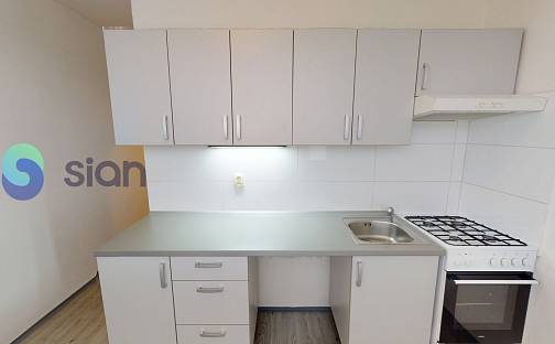 Pronájem bytu 2+1 55 m², Holasova, Ostrava - Hrabůvka