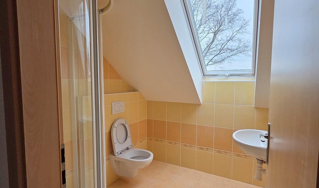 Prodej komerčního objektu (jiného typu) 570 m², Drásov – náhled fotky 42