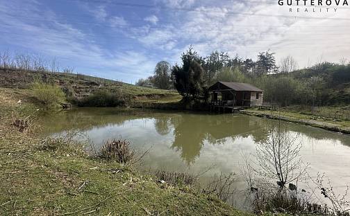 Prodej pozemku 15 233 m², Hradec, okres Plzeň-Jih