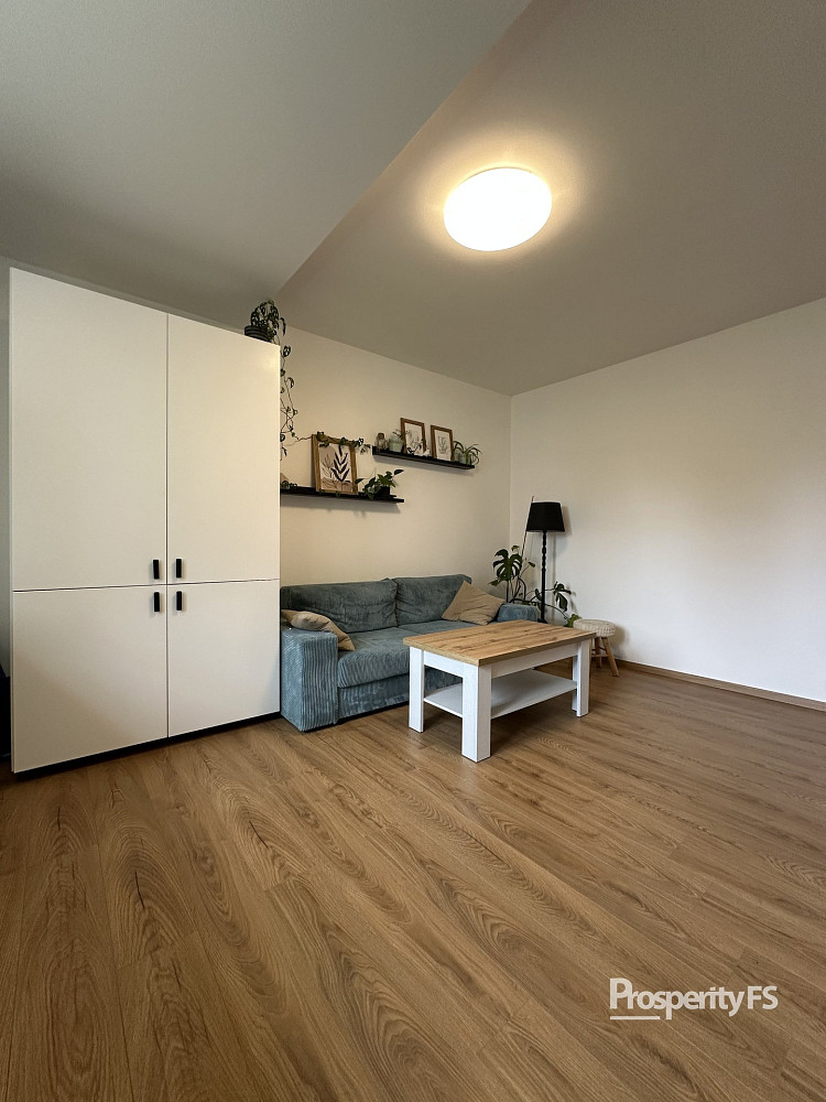 Pronájem bytu 3+kk 53 m² — photo 4