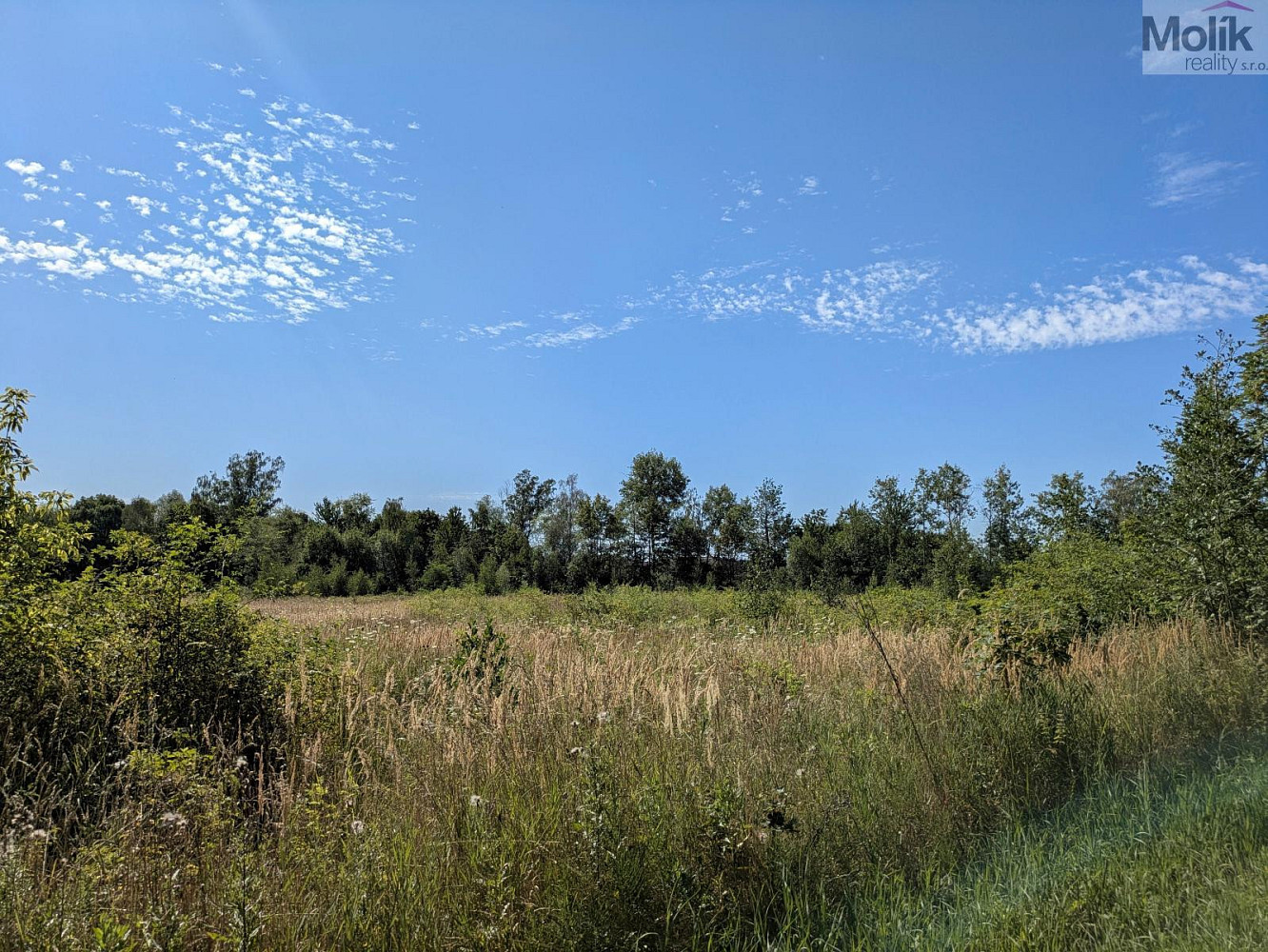 Fotka 6 z 10