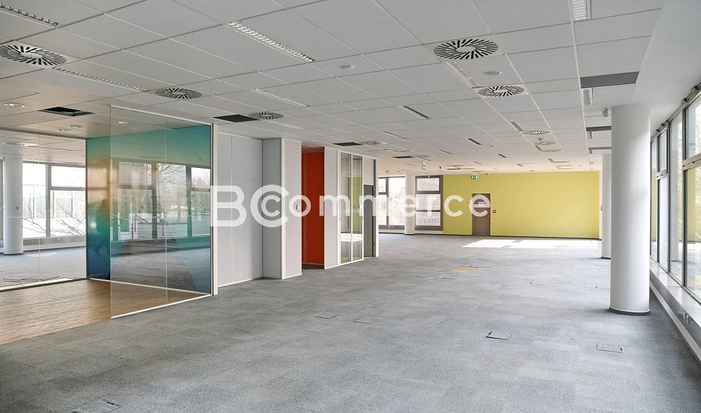Pronájem kanceláře 1 173 m², Brno – náhled fotky 3