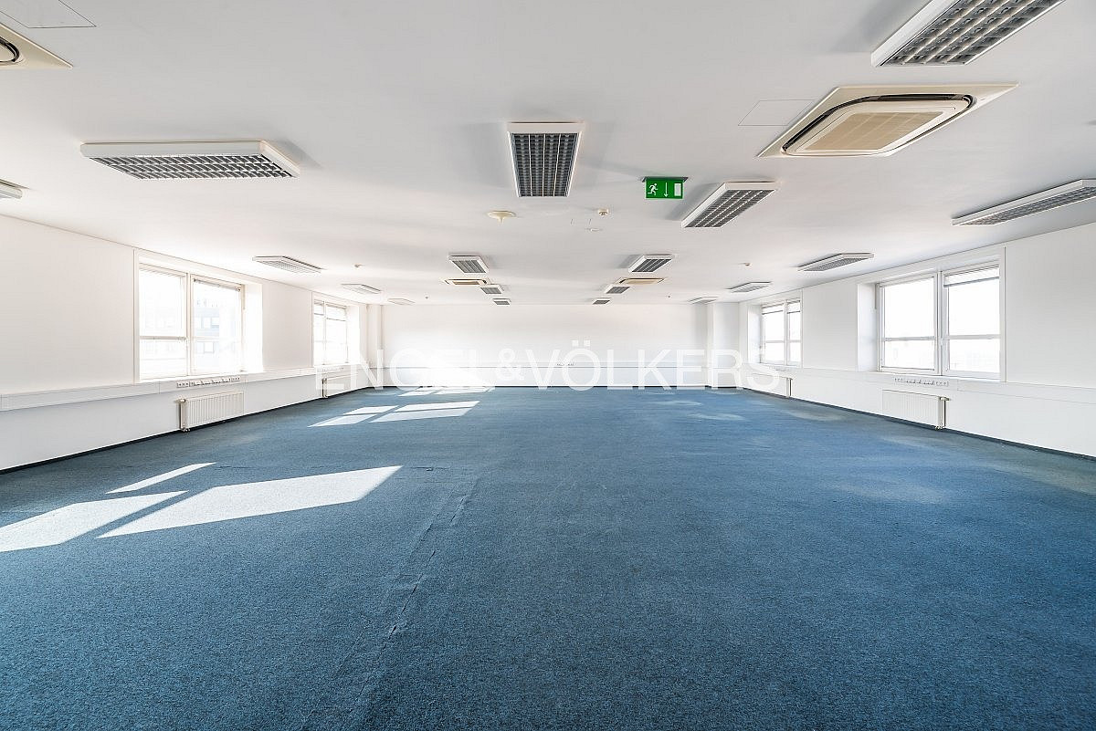 Pronájem kanceláře 321 m² – fotografie 4