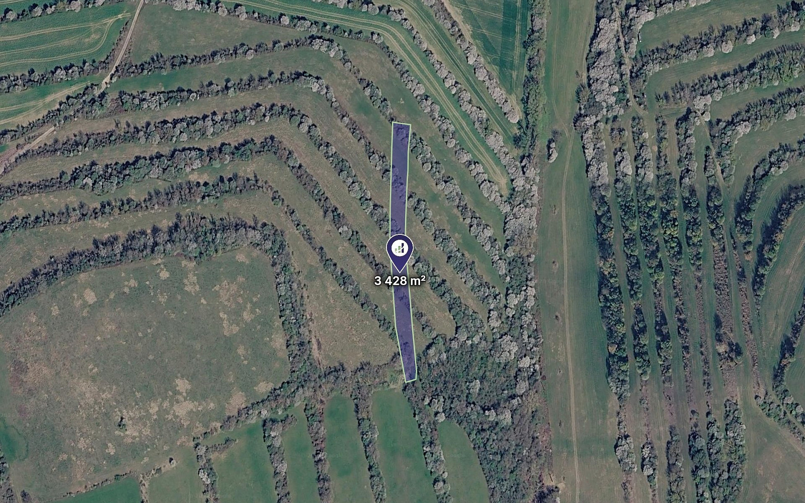 Prodej pole 1 286 m²
