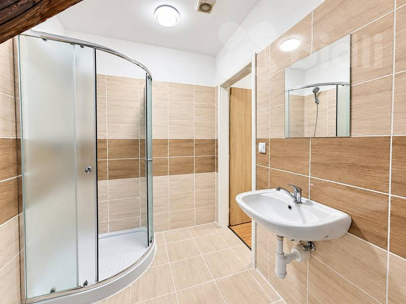 Pronájem bytu 1+1 37 m² – fotografie 4