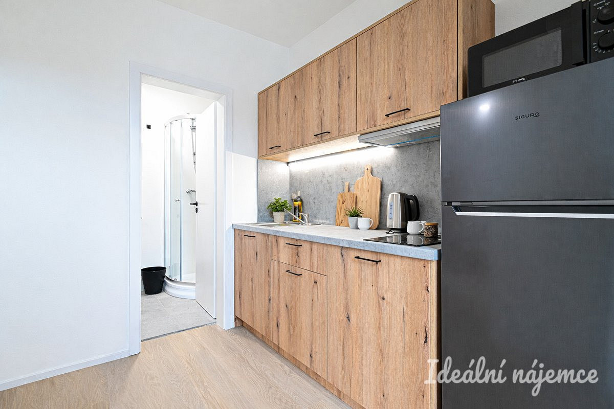 Pronájem bytu 1+1 25 m² – fotografie 4