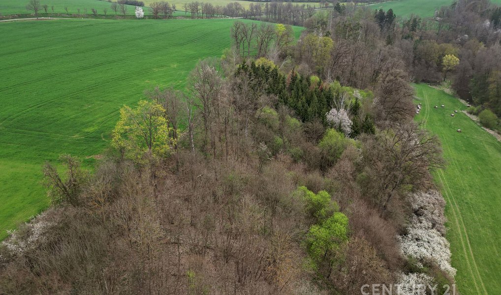 Prodej domu 158 m² s pozemkem 5 826 m², Radíč – náhled fotky 19