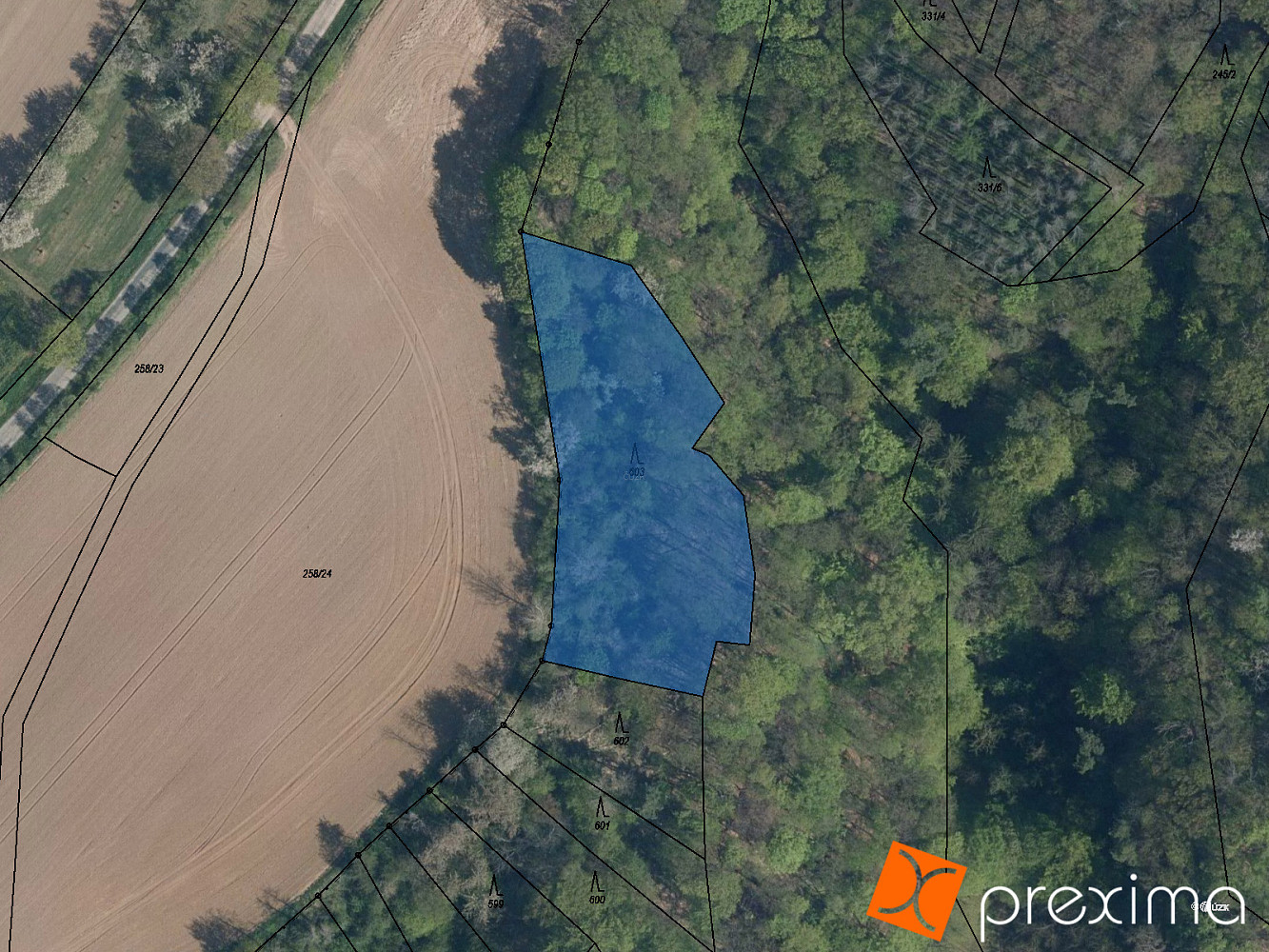 Prodej lesa 1 184 m²