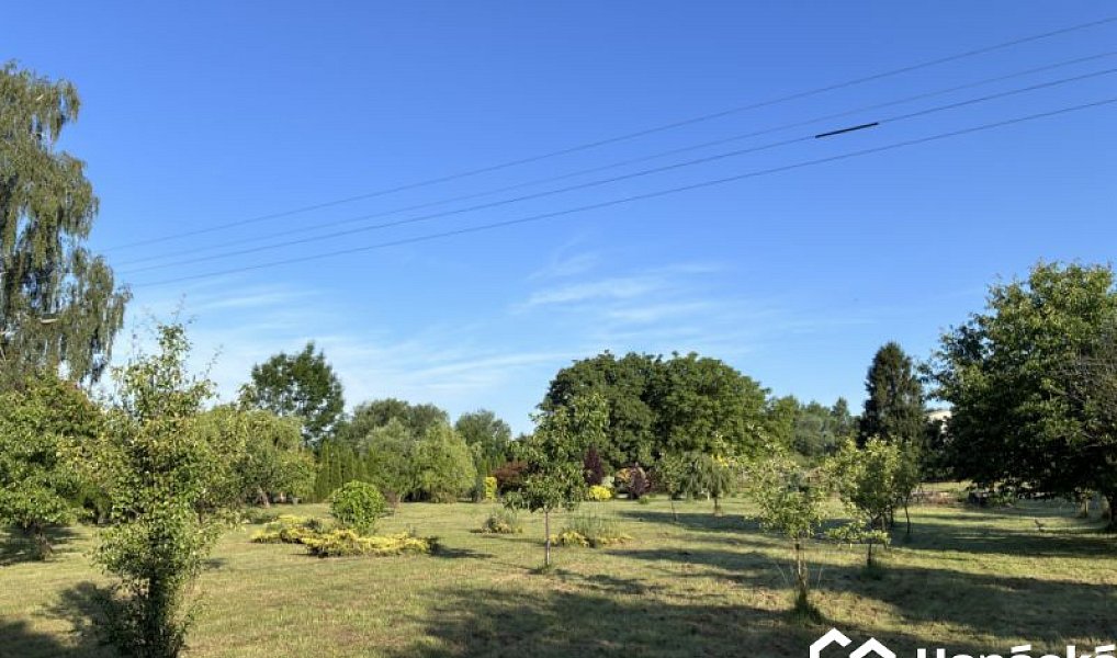 Prodej zahrady 3 994 m², Bělotín – náhled fotky 19