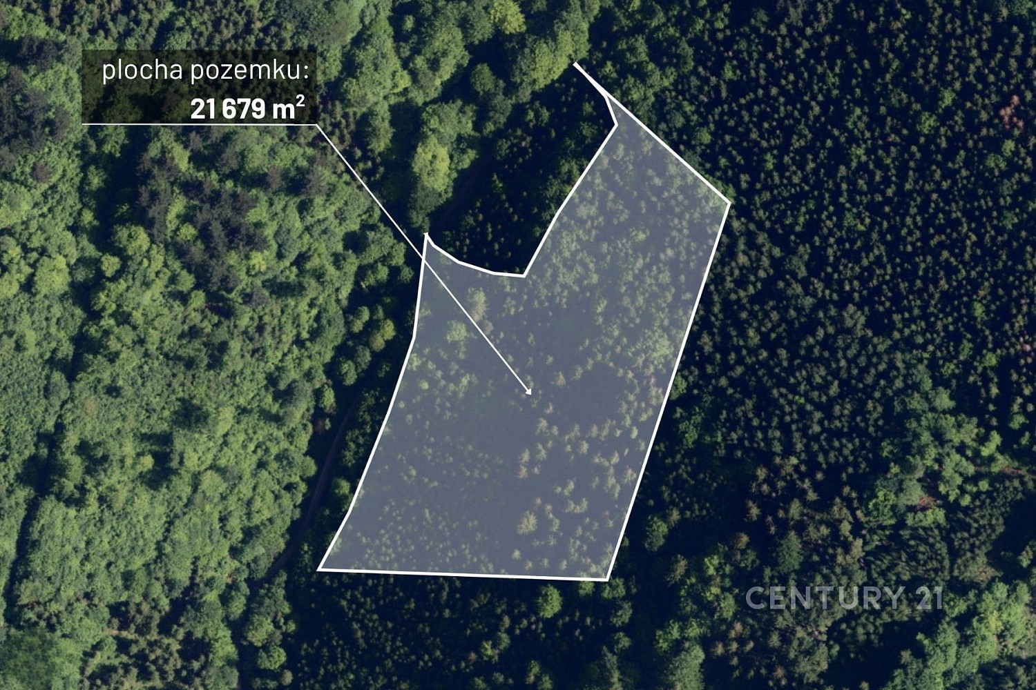 Prodej lesa 21 679 m²