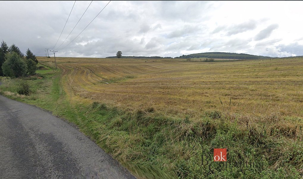 Prodej pole 43 309 m², Nová Ves – náhled fotky 3