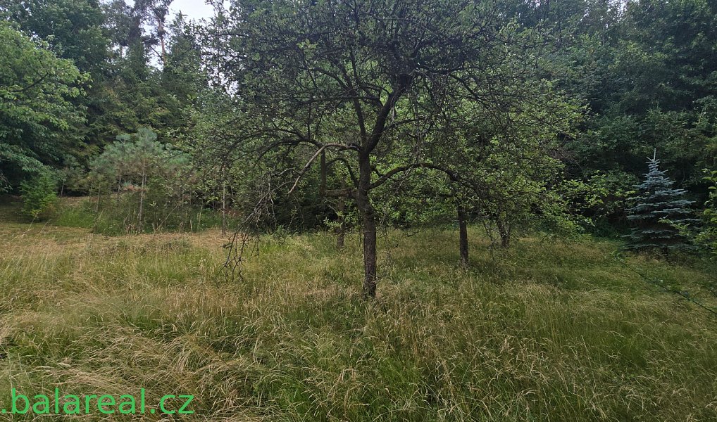 Prodej domu 93 m² s pozemkem 1 667 m², Šošůvka – náhled fotky 15