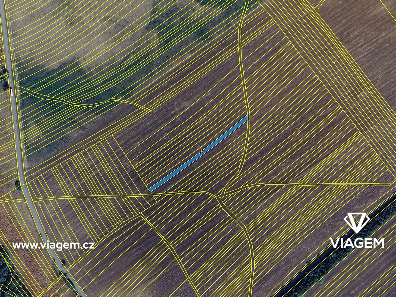 Prodej pole 667 m² – fotografie 4