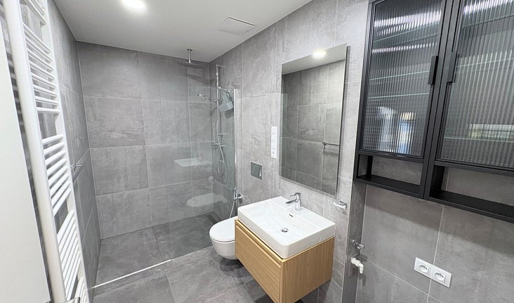 Pronájem bytu 1+kk 45 m², Praha – náhled fotky 6