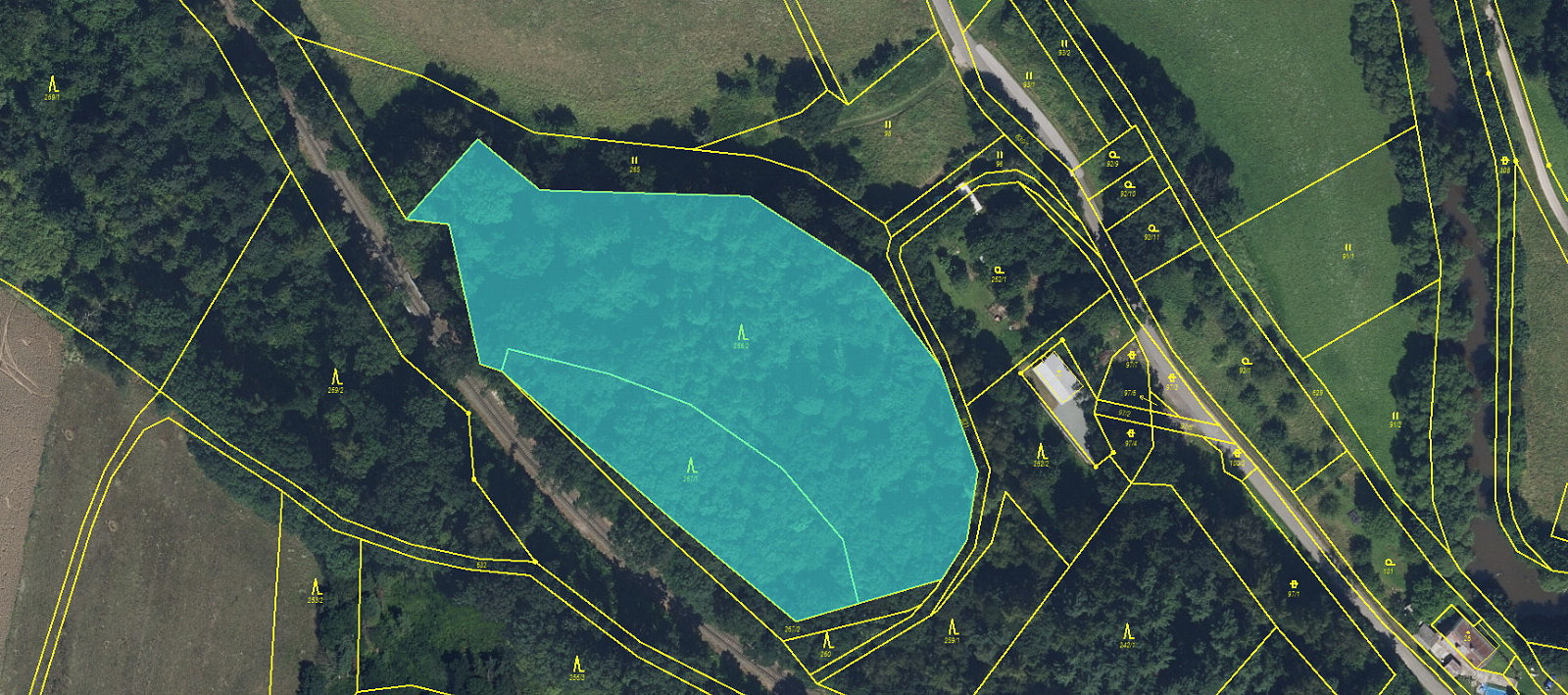 Prodej lesa 11 566 m²