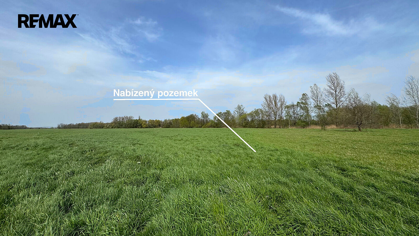 Prodej pole 4 547 m² – fotografie 2