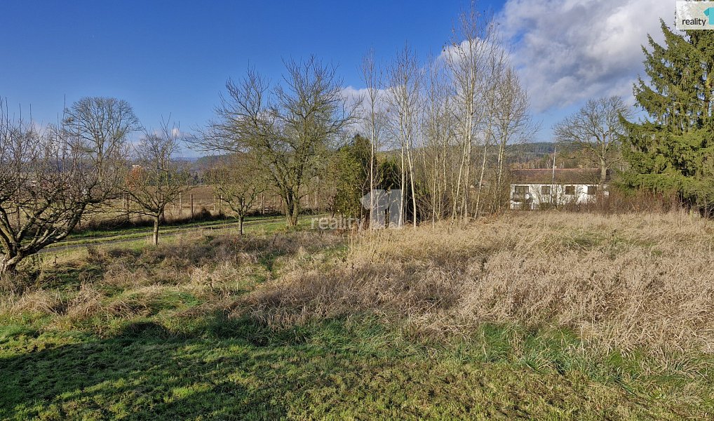 Prodej louky 1 669 m², Dalovice – náhled fotky 2