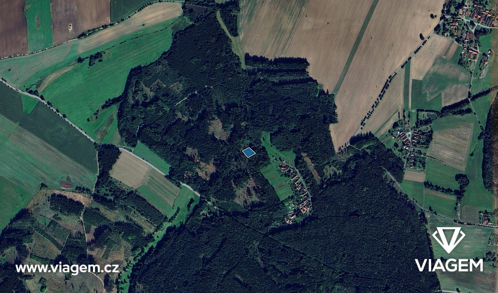 Prodej lesa 1 467 m², Vyklantice – náhled fotky 3